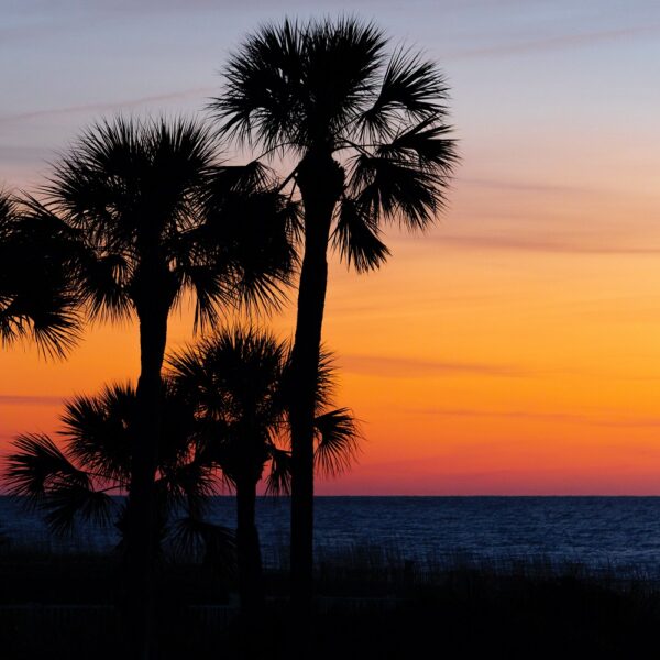 Hilton Head Island SC beach views